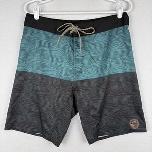 HippyTree Board Shorts Mens 30 Teal Black Mountain Print Stretch Aquatic Div